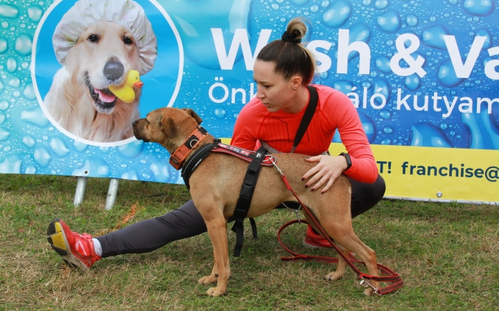 Hard Dog Race Dunaújvárosban - fotó: 