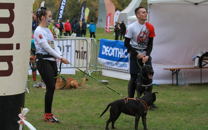 Hard Dog Race Dunaújvárosban - fotó: 