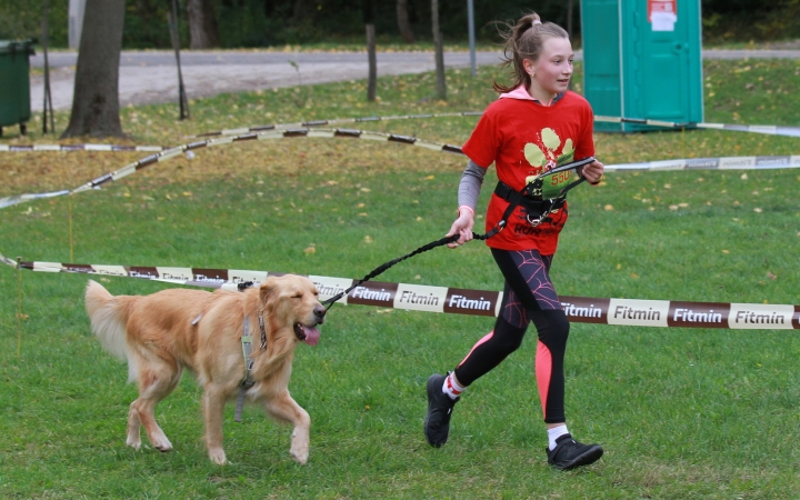 Hard Dog Race Dunaújvárosban - fotó: 