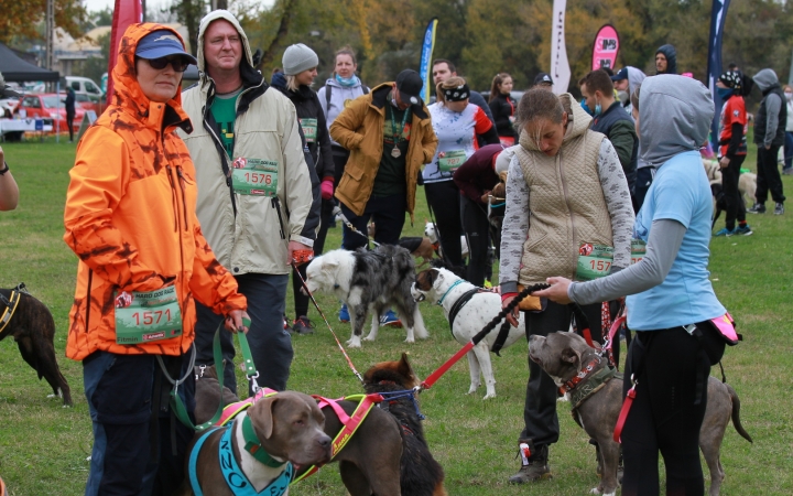 Hard Dog Race Dunaújvárosban - fotó: 