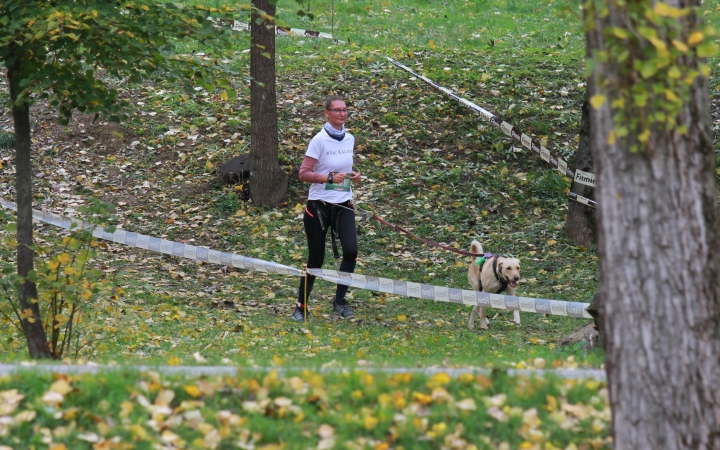 Hard Dog Race Dunaújvárosban - fotó: 