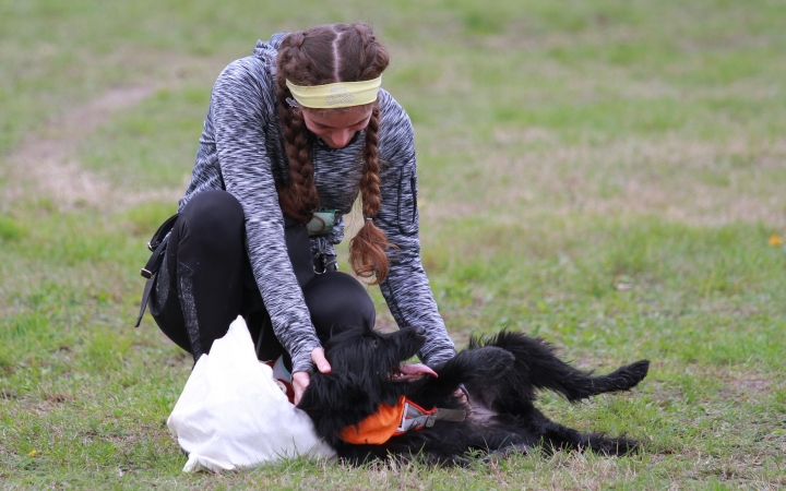 Hard Dog Race Dunaújvárosban - fotó: 