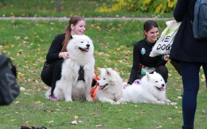 Hard Dog Race Dunaújvárosban - fotó: 