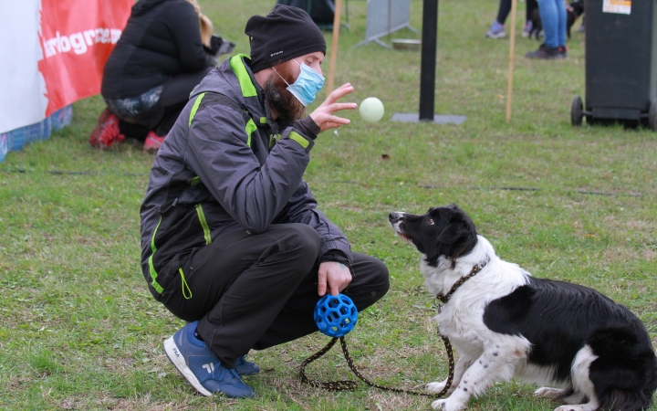 Hard Dog Race Dunaújvárosban - fotó: 