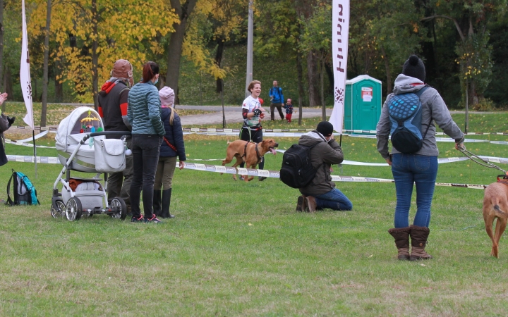 Hard Dog Race Dunaújvárosban - fotó: 