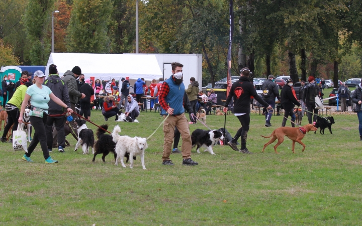 Hard Dog Race Dunaújvárosban - fotó: 