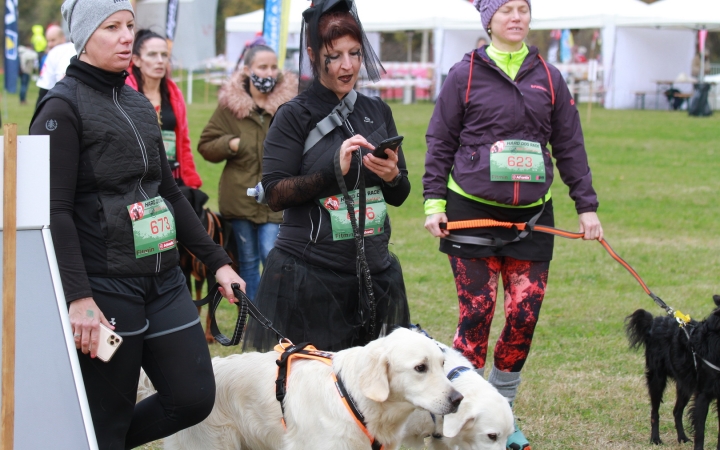 Hard Dog Race Dunaújvárosban - fotó: 