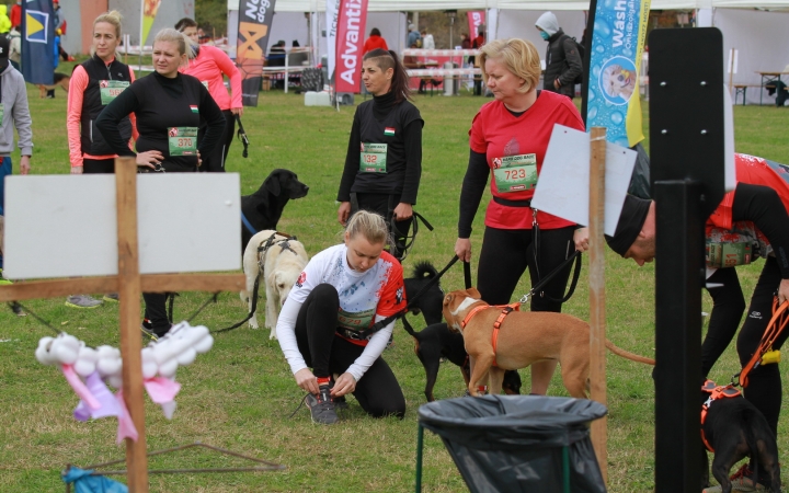 Hard Dog Race Dunaújvárosban - fotó: 