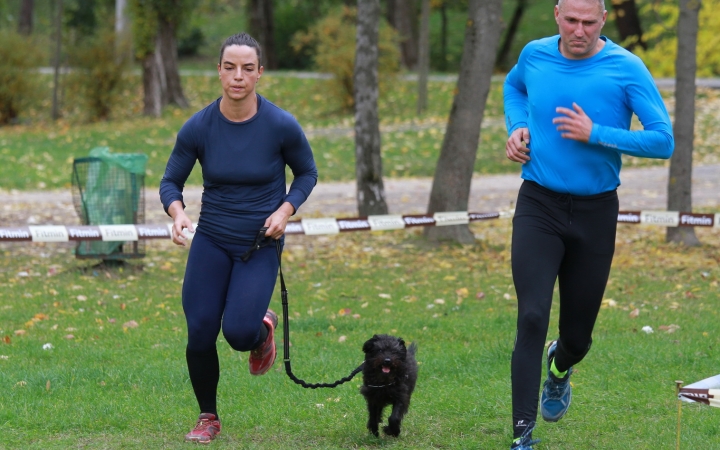 Hard Dog Race Dunaújvárosban - fotó: 