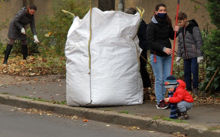 Levélgyűjtés a városban - fotó: 