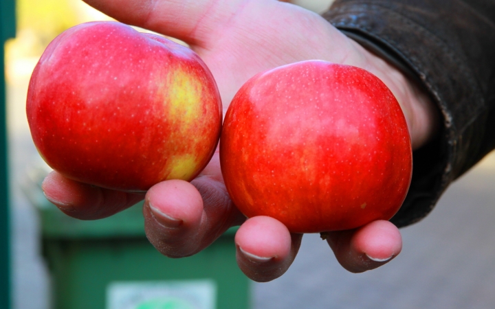 Mikulás előtti meglepetés ajándékok - fotó: 