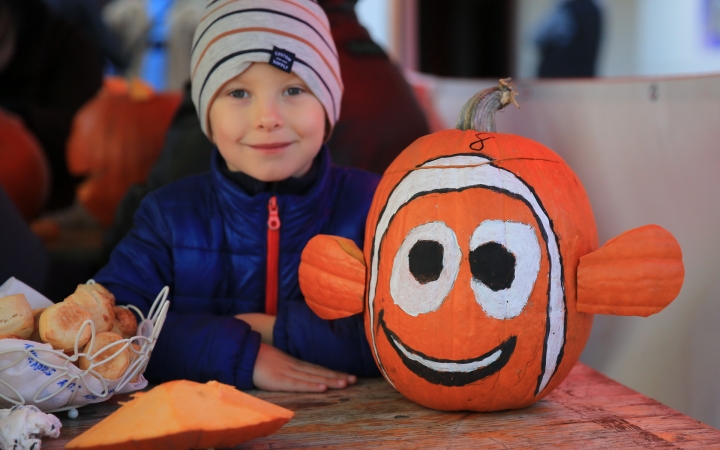 Tökfaragó verseny a Vasmű úton - fotó: 