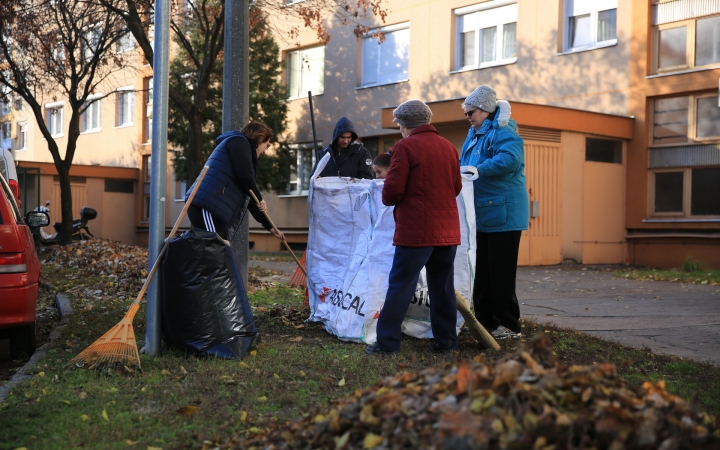 Levélszedés a város közterein - fotó: 