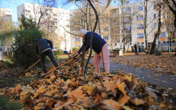 Levélszedés a város közterein - fotó: 