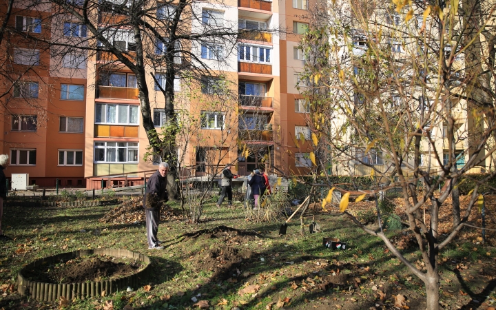 Levélszedés a város közterein - fotó: 