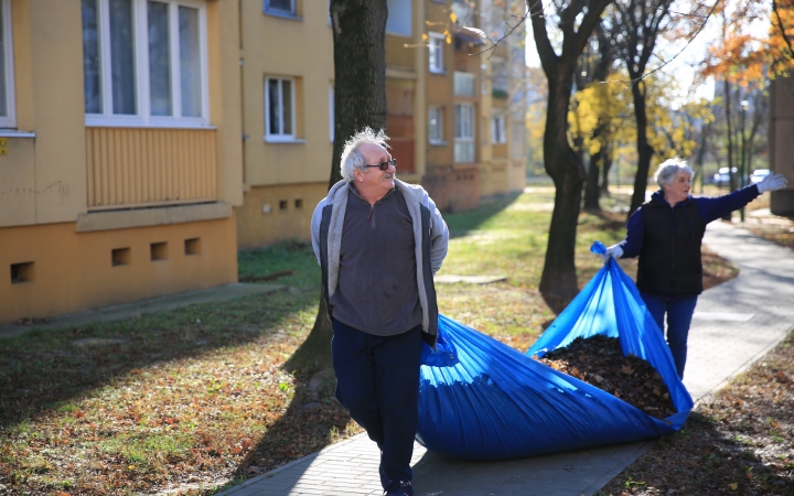 Levélszedés a város közterein - fotó: 