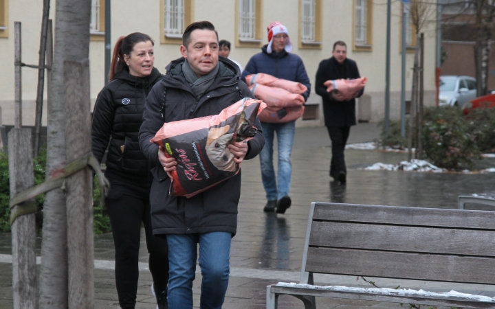 Petárda helyett kutyatápot - fotó: 