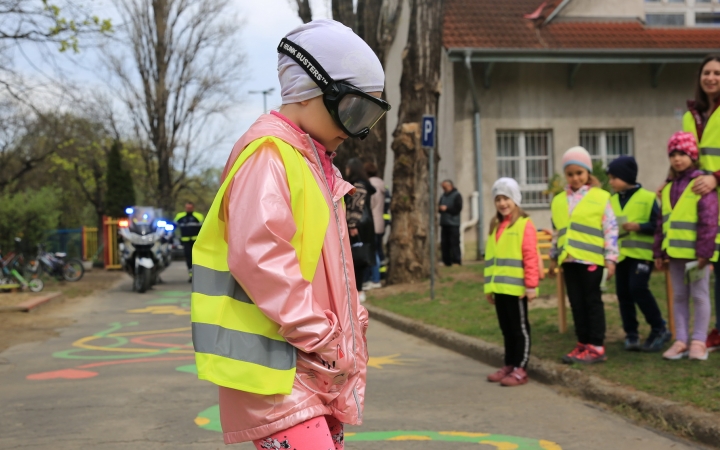 Ovizsaru és más csodák a tavaszköszöntő szakmai programban - fotó: 