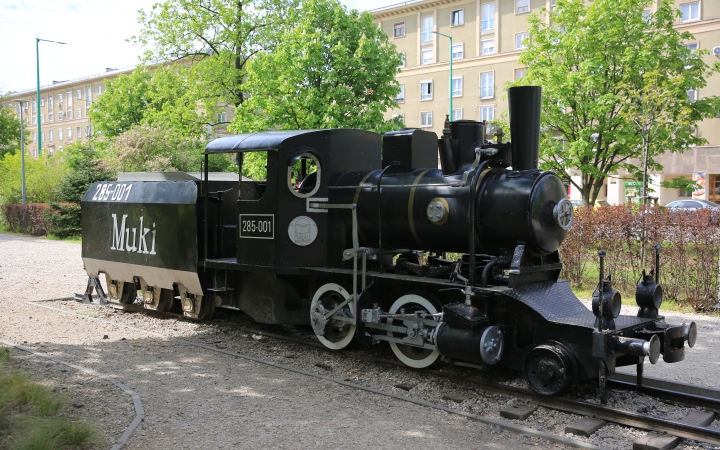 Városfelfedezés – Muki nyomában - fotó: 