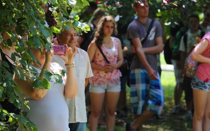 Sziget a szerelmeseknek - fotó: Ónodi Zoltán