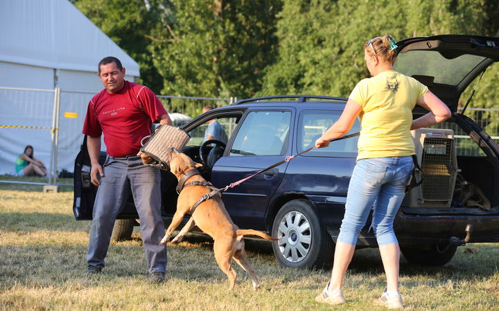 DUDIK- Őrző- védő szituációs bemutató - fotó: Ónodi Zoltán