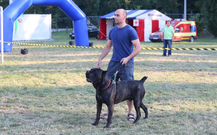 DUDIK- Őrző- védő szituációs bemutató - fotó: Ónodi Zoltán