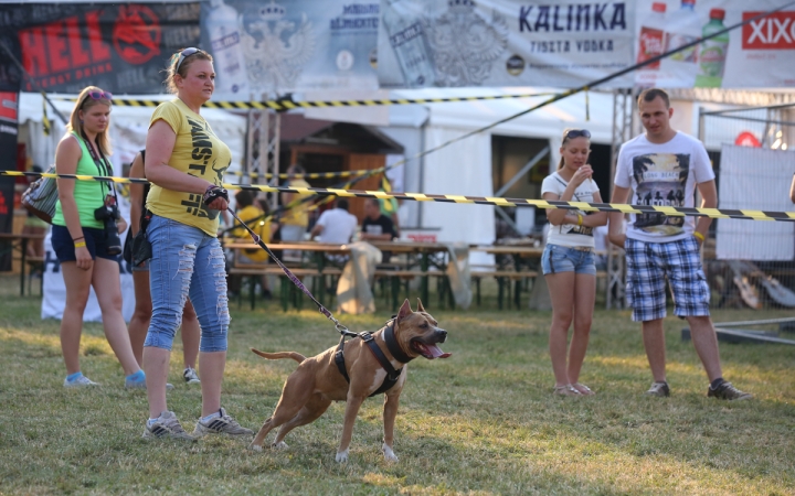 DUDIK- Őrző- védő szituációs bemutató - fotó: Ónodi Zoltán