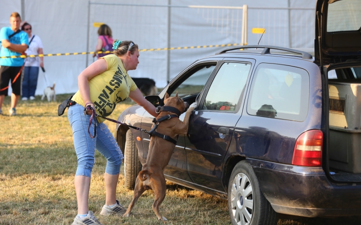 DUDIK- Őrző- védő szituációs bemutató - fotó: Ónodi Zoltán