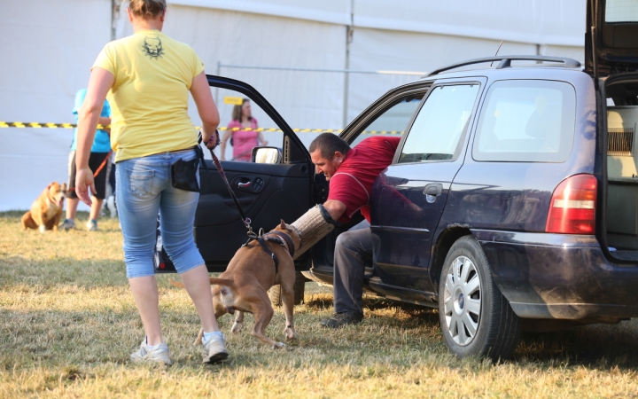 DUDIK- Őrző- védő szituációs bemutató - fotó: Ónodi Zoltán