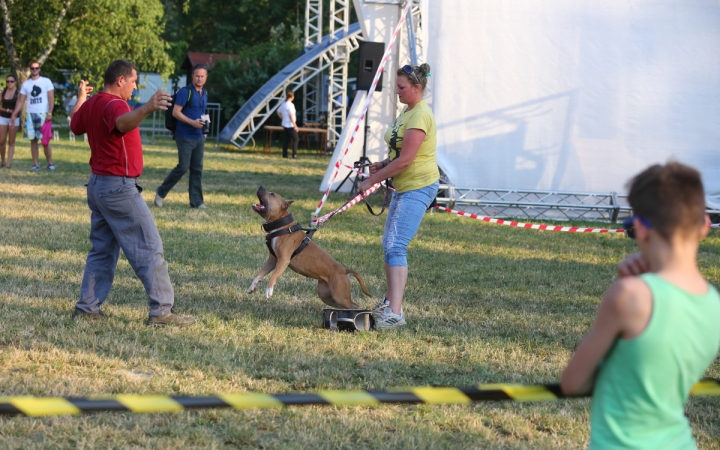 DUDIK- Őrző- védő szituációs bemutató - fotó: Ónodi Zoltán