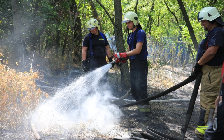 Erdőtűz Dunaújvárosban - fotó: 