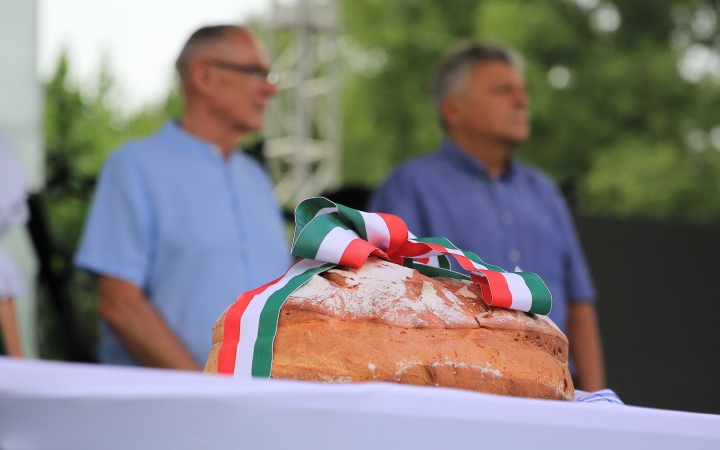 Augusztális a Szalki-szigeten (2022) - fotó: 