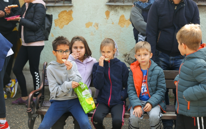 Színes piknik a Móricz udvarán  - fotó: 