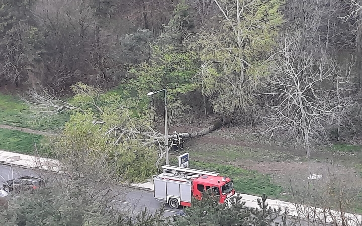 Szélvihar, fakidőlések Dunaújvárosban - fotó: 