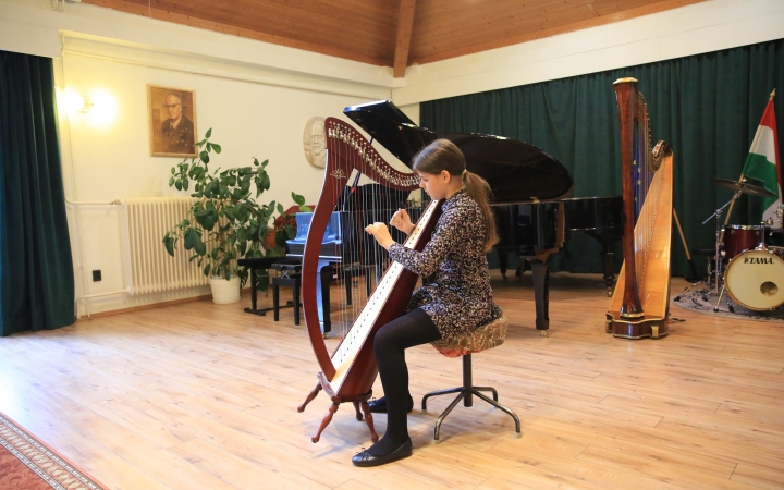 Rajzkiállítás és növendékkoncert a Sándor Frigyes Hét nyitónapján - fotó: 