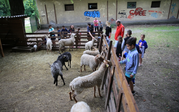 Természetvédelmi nyílt nap az arborétumban - fotó: 
