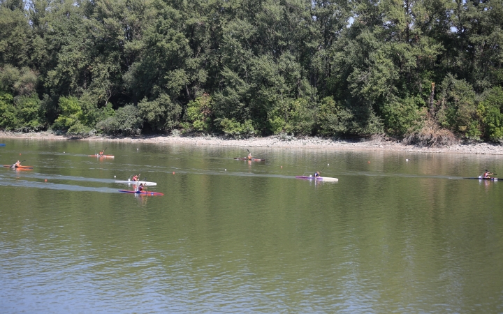 II. Wichmann Regatta és Nagy Sportágválasztó - fotó: 