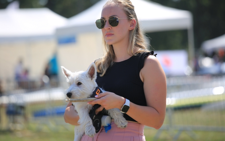 II. Wichmann Regatta és Nagy Sportágválasztó - fotó: 