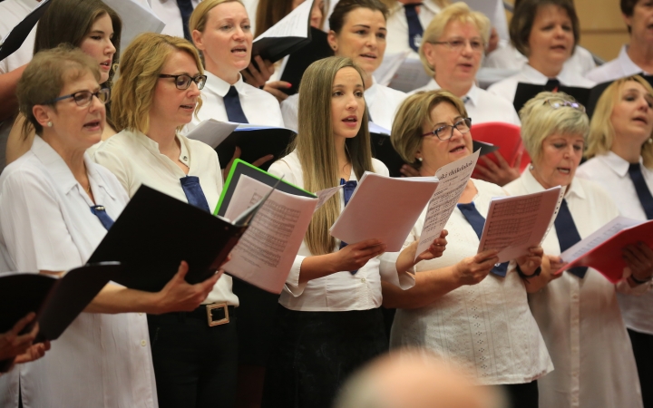 Minifesztivál és gálakoncert a jubileumon - fotó: 