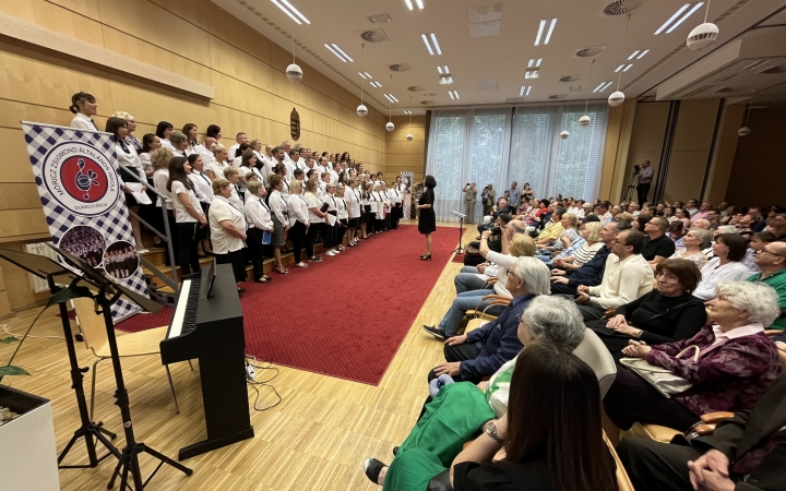 Minifesztivál és gálakoncert a jubileumon - fotó: 
