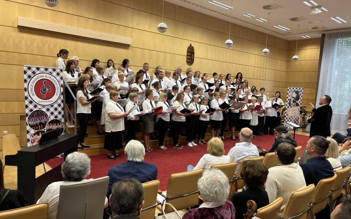 Minifesztivál és gálakoncert a jubileumon - fotó: 