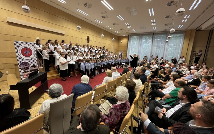 Minifesztivál és gálakoncert a jubileumon - fotó: 
