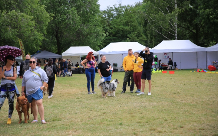 I. Duna Dog Center Fesztivál - fotó: 