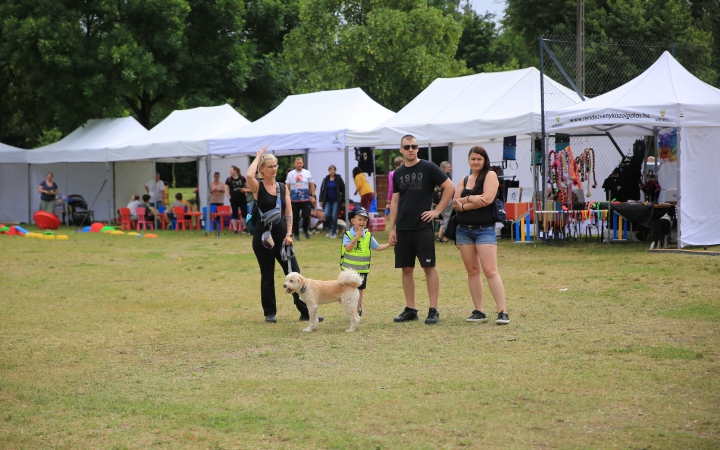 I. Duna Dog Center Fesztivál - fotó: 