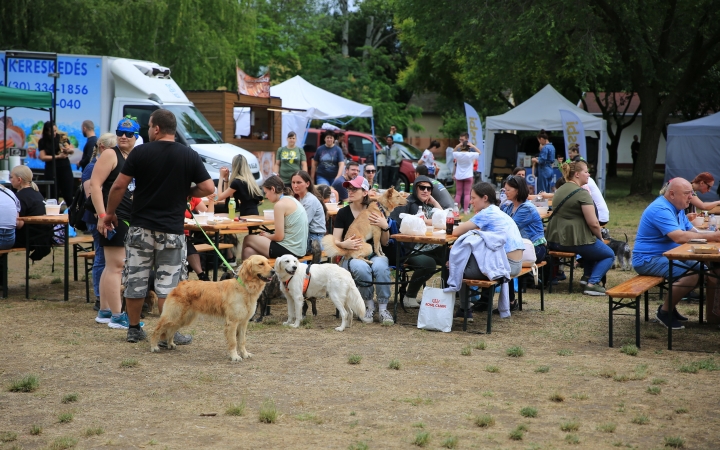 I. Duna Dog Center Fesztivál - fotó: 