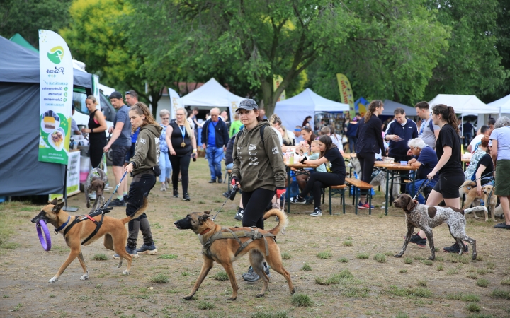 I. Duna Dog Center Fesztivál - fotó: 