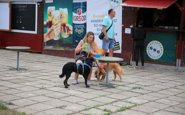 I. Duna Dog Center Fesztivál - fotó: 