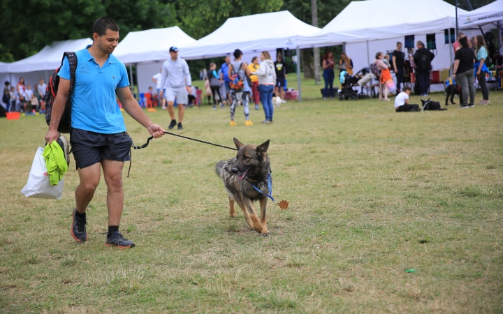 I. Duna Dog Center Fesztivál - fotó: 