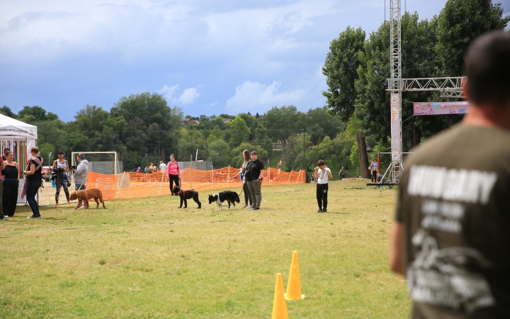 I. Duna Dog Center Fesztivál - fotó: 