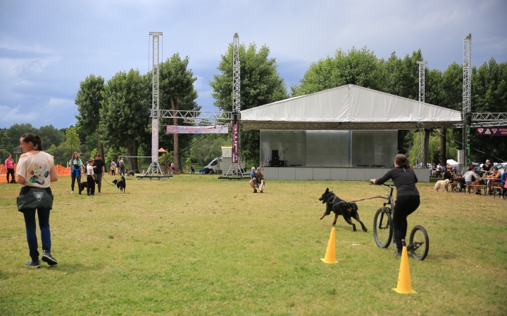 I. Duna Dog Center Fesztivál - fotó: 